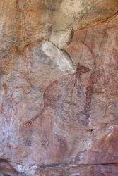 Kangoeroe en thylacine